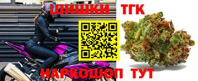 индика Заволжье