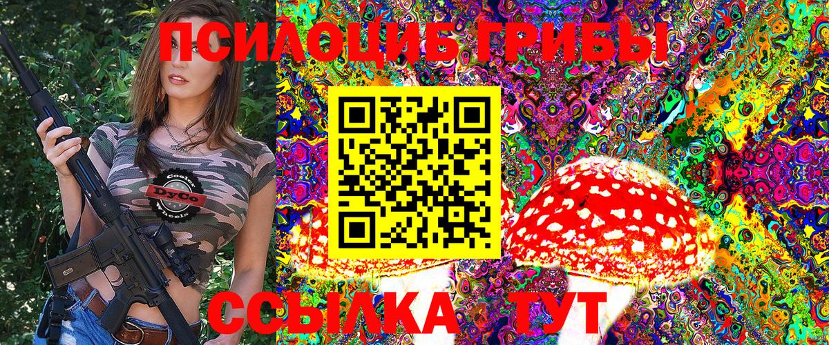 Галлюциногенные грибы Cubensis  Вход с VPN  Галлюциногенные грибы Psilocybine cubensis  Людиново 